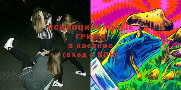 ALPHA-PVP Новозыбков