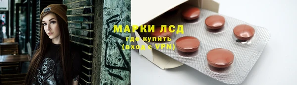 ALPHA-PVP Новозыбков