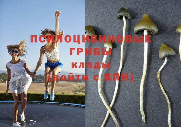 мяу мяу мука Новокубанск