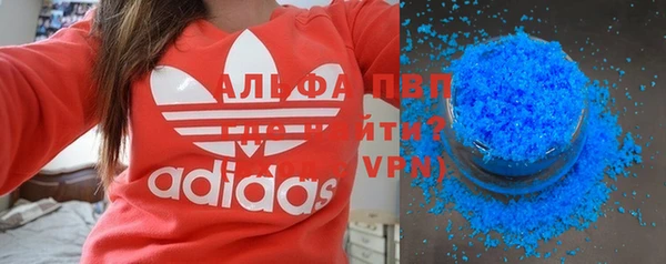 сатива Новодвинск
